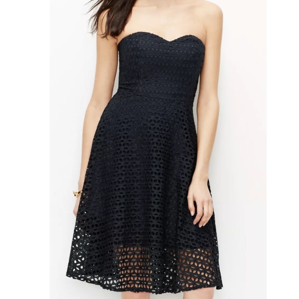 NWT ANN TAYLOR navy eyelet dress - size 0